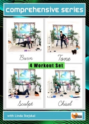 Comprehensive Series Workouts Barlates Body Blitz Linda Stejskal